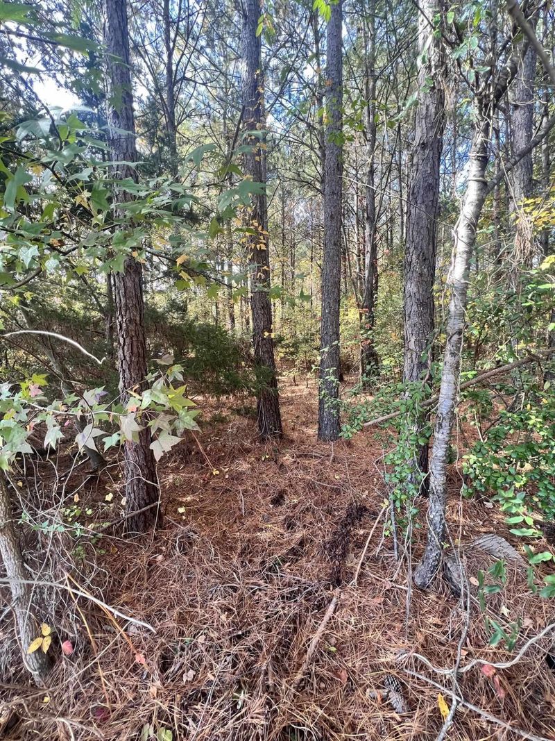 0 Les Belle Dr Lot 10, Middlesex, NC 27557