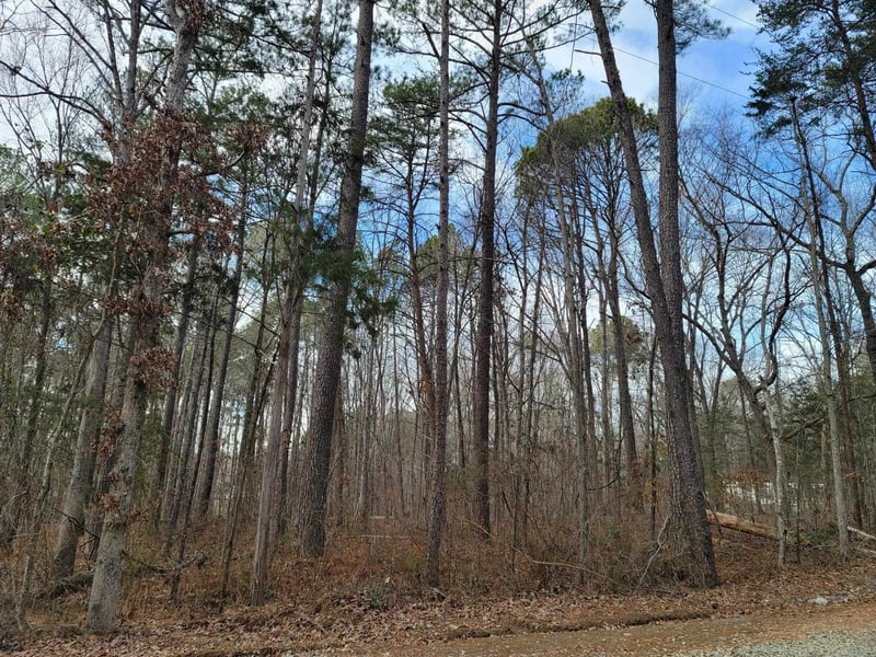 0 Robert Alston Jr Dr, Pittsboro, NC 27312