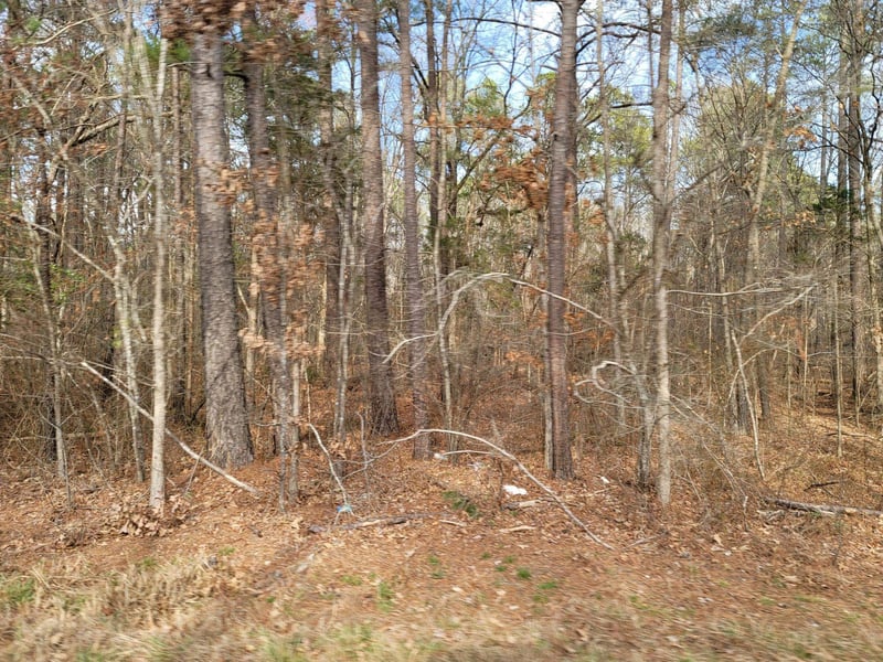 0 Robert Alston Jr Dr, Pittsboro, NC 27312