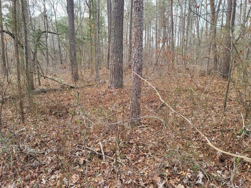0 Robert Alston Jr Dr, Pittsboro, NC 27312