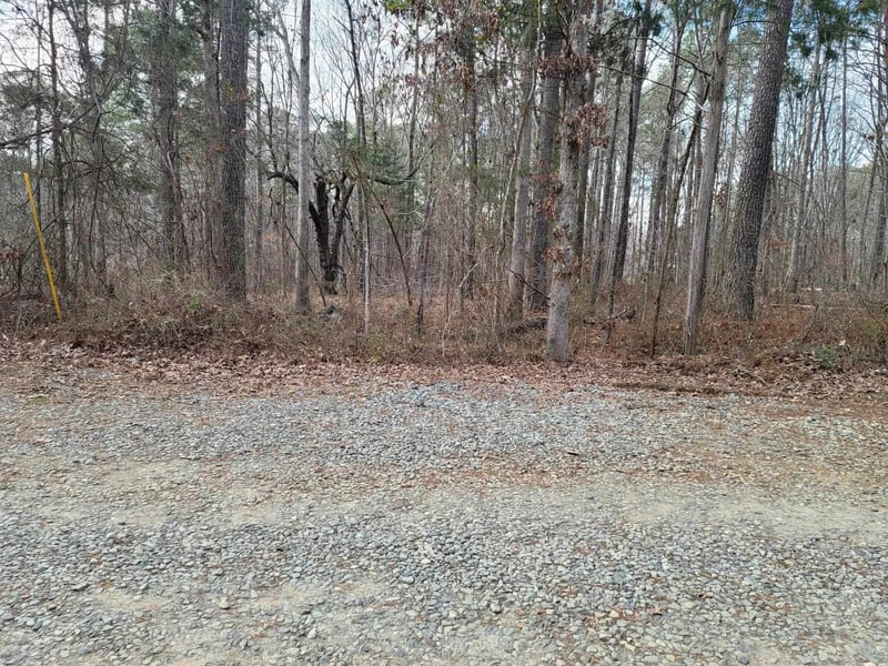 0 Robert Alston Jr Dr, Pittsboro, NC 27312