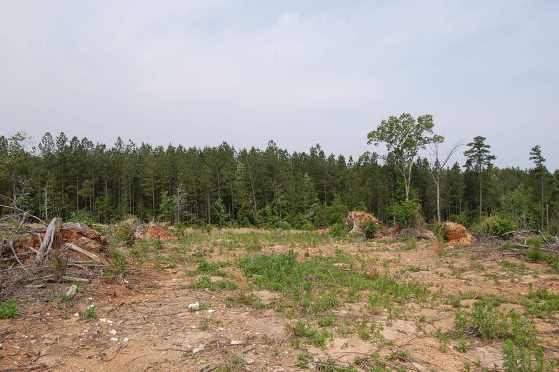 1 Virgilina Rd Lot 1, Roxboro, NC 27574