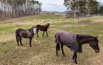 1105 Doc Nichols Rd, Durham, NC 27703