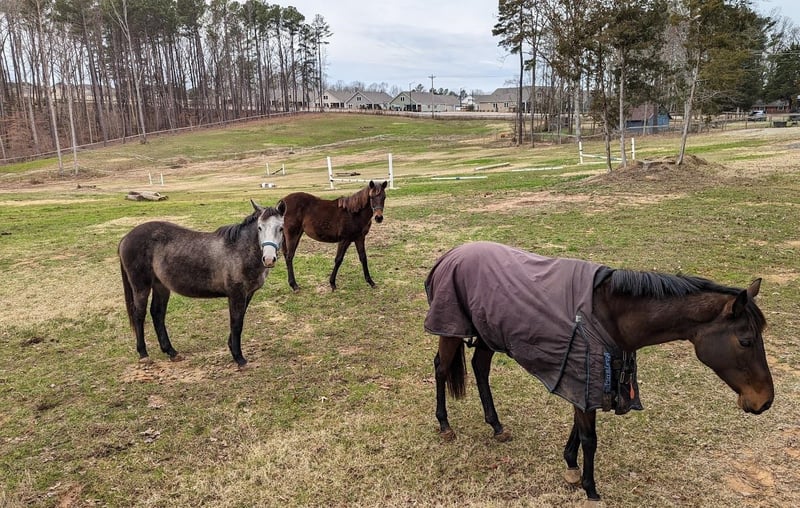 1105 Doc Nichols Rd, Durham, NC 27703