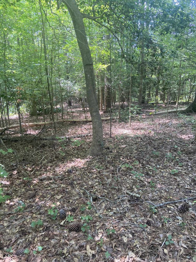 155 Williams Farm Rd Lot 2, Sanford, NC 27332