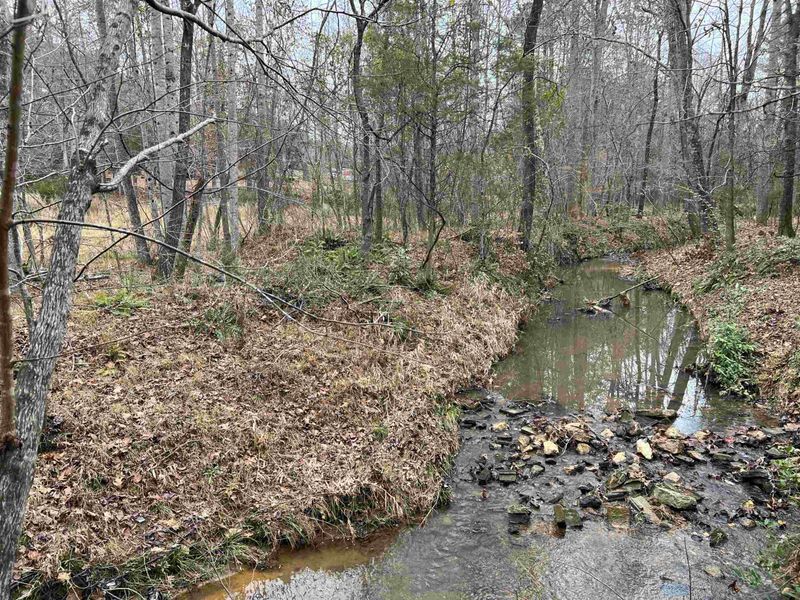 1579 Wayside Farm Rd, Franklinton, NC 27525