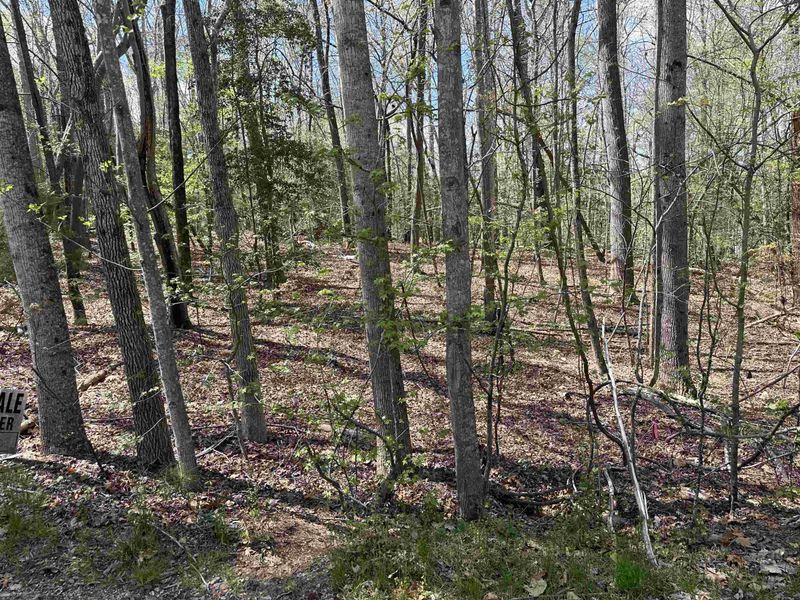 171 Nashua Dr Lot 2589, Louisburg, NC 27549