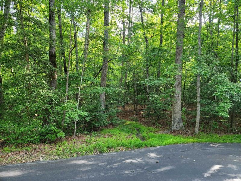2058 Cedar Cir Lot 2058, Sanford, NC 27332