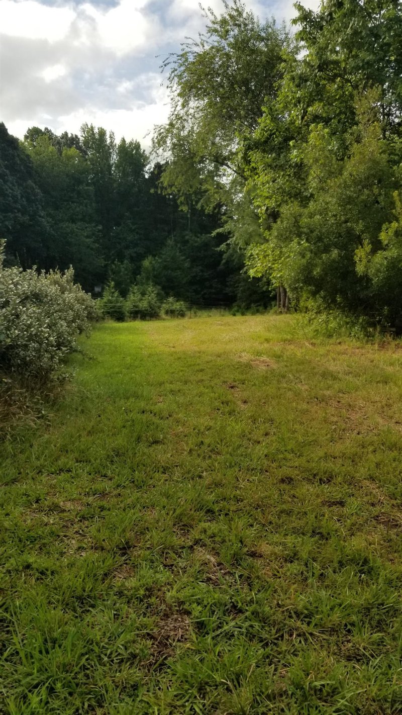 360 Caley Wilson Rd Lot 1E, Apex, NC 27523