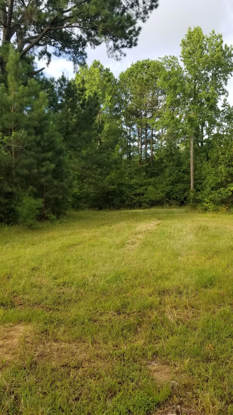 360 Caley Wilson Rd Lot 1E, Apex, NC 27523