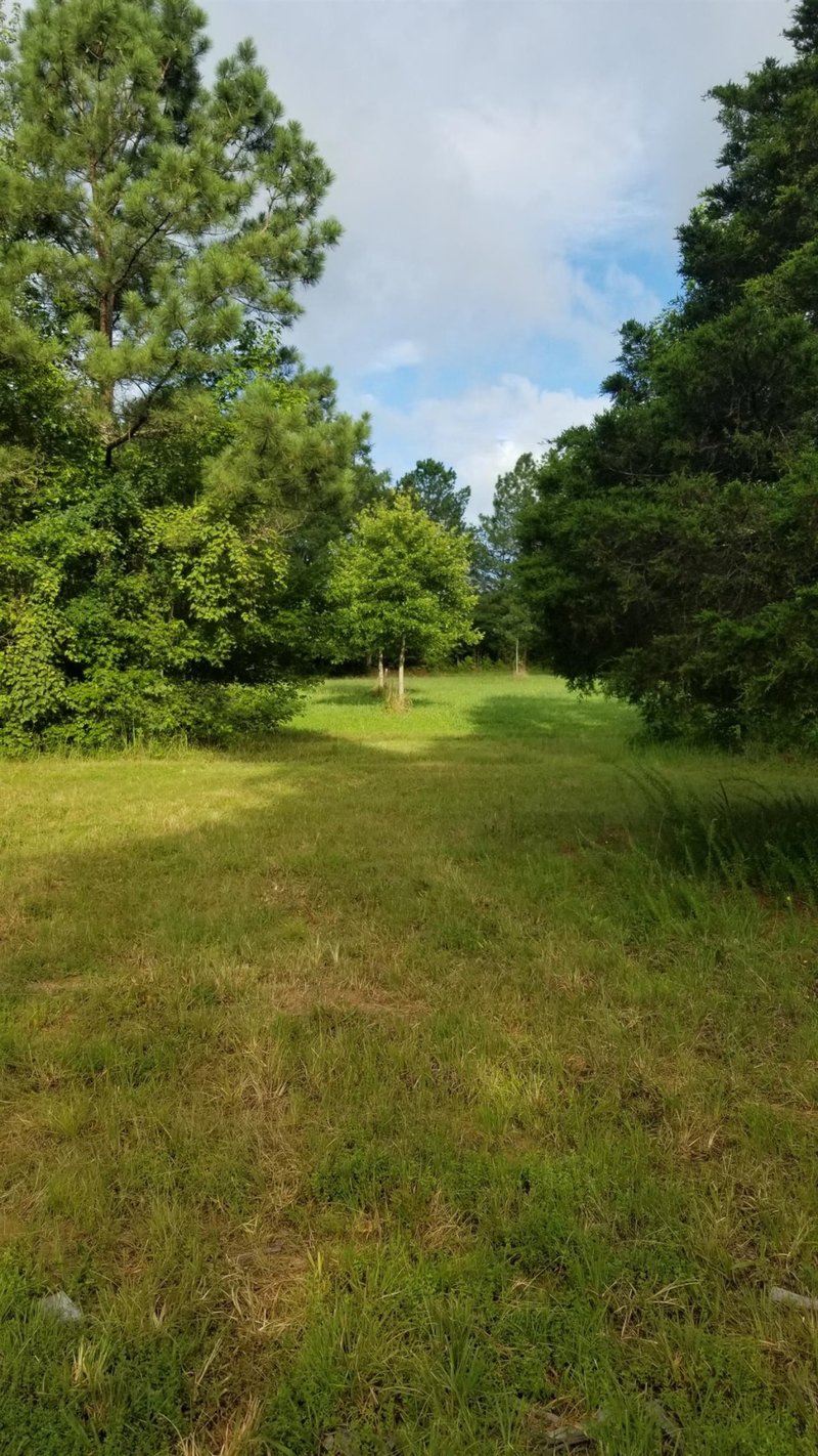 360 Caley Wilson Rd Lot 1E, Apex, NC 27523