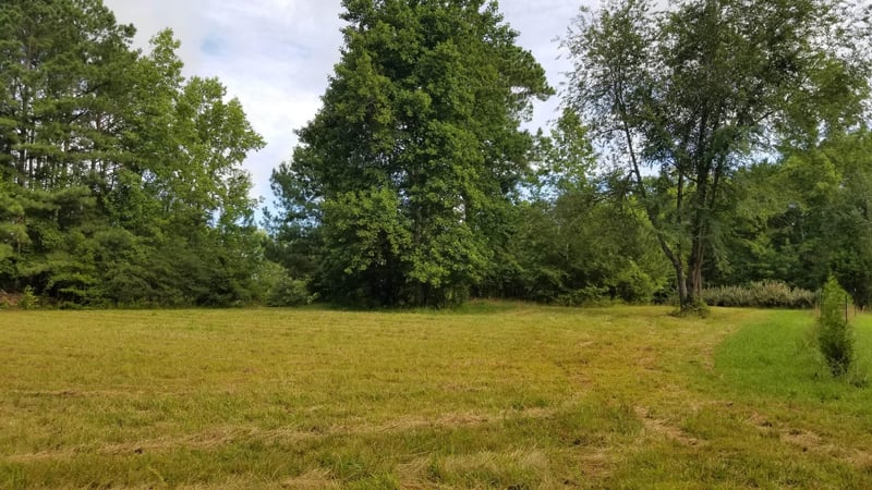 360 Caley Wilson Rd Lot 1E, Apex, NC 27523