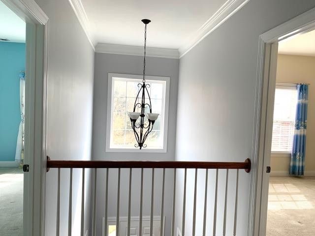 8014 Wade Green Pl, Cary, NC 27519