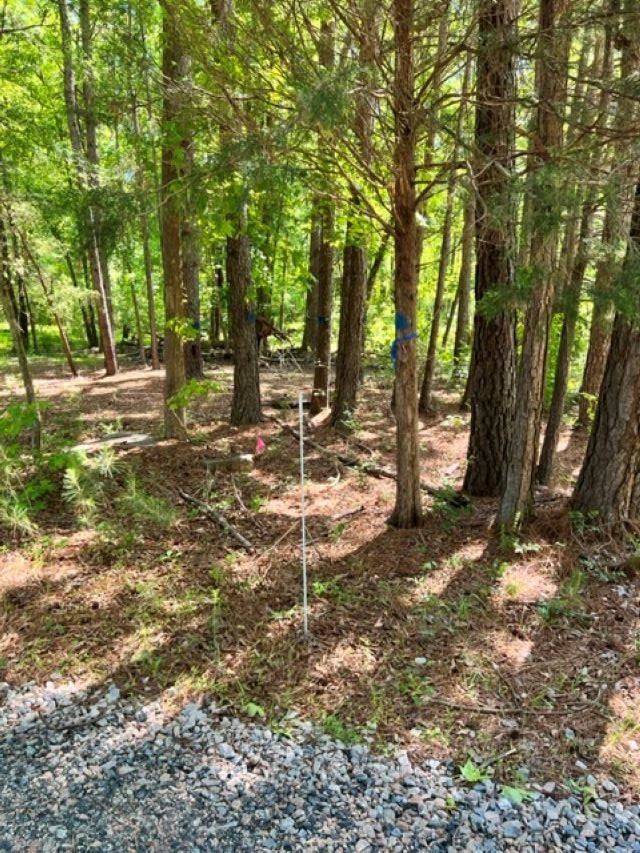 8621 Breezy Grove Ln Lot 4, Wake Forest, NC 27587