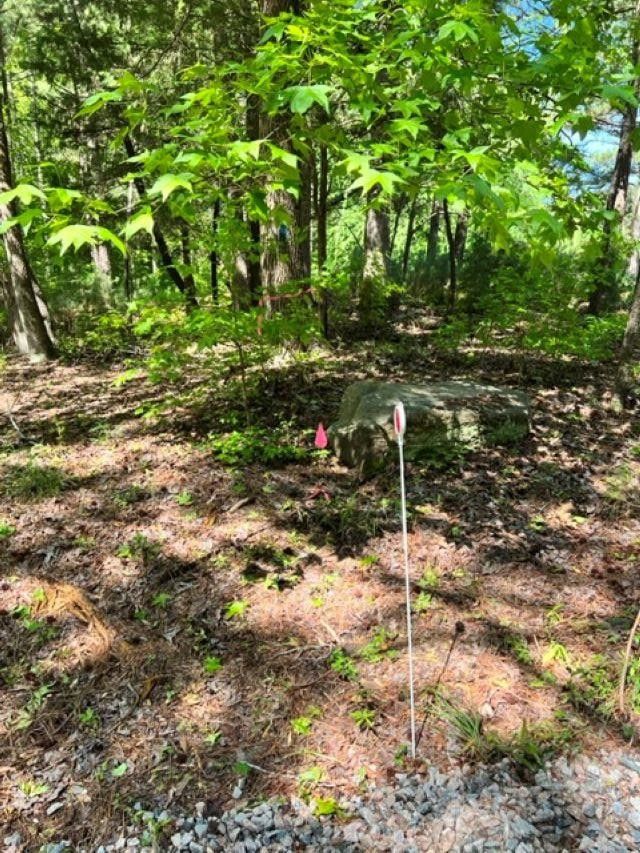 8621 Breezy Grove Ln Lot 4, Wake Forest, NC 27587