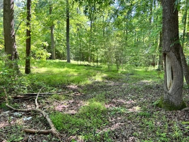 8621 Breezy Grove Ln Lot 4, Wake Forest, NC 27587