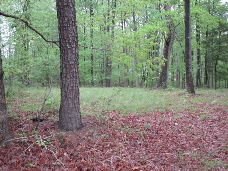 93 A E Deer Rn Lot 2, Apex, NC 27502