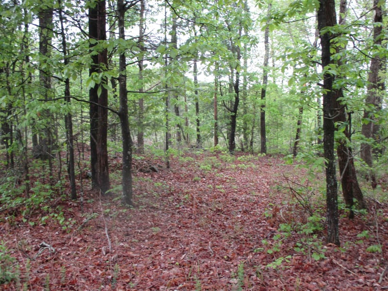 93 A E Deer Rn Lot 2, Apex, NC 27502