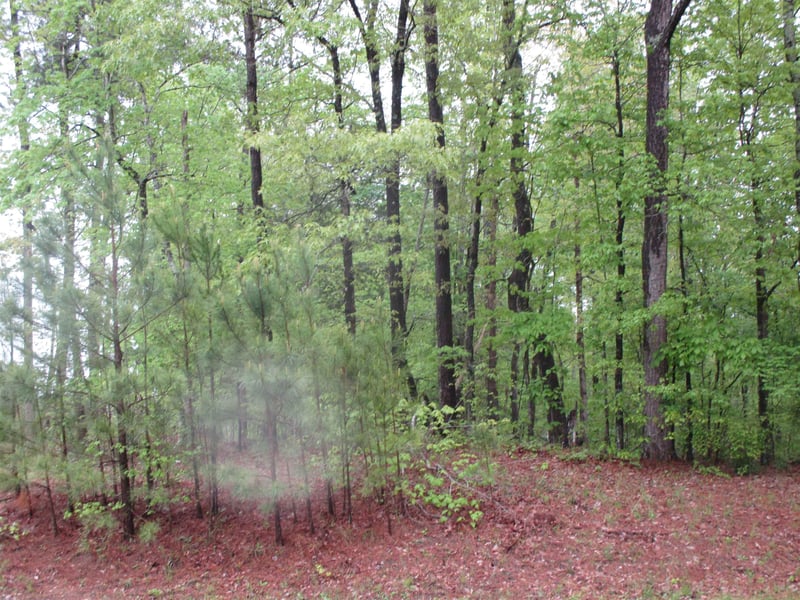 93 A E Deer Rn Lot 2, Apex, NC 27502