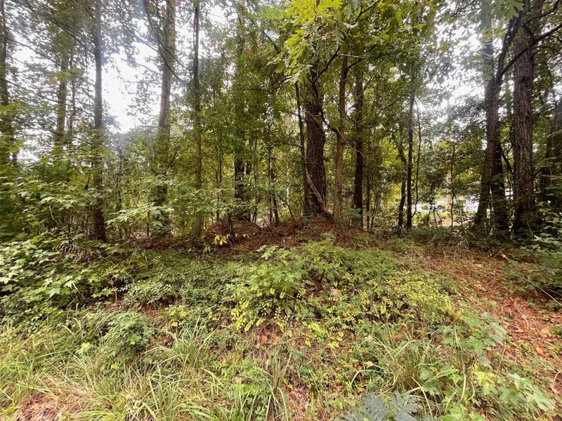 970 Mack Todd Rd, Zebulon, NC 27597