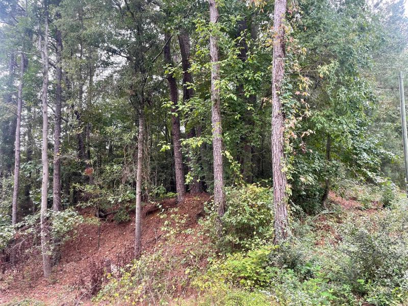 970 Mack Todd Rd, Zebulon, NC 27597