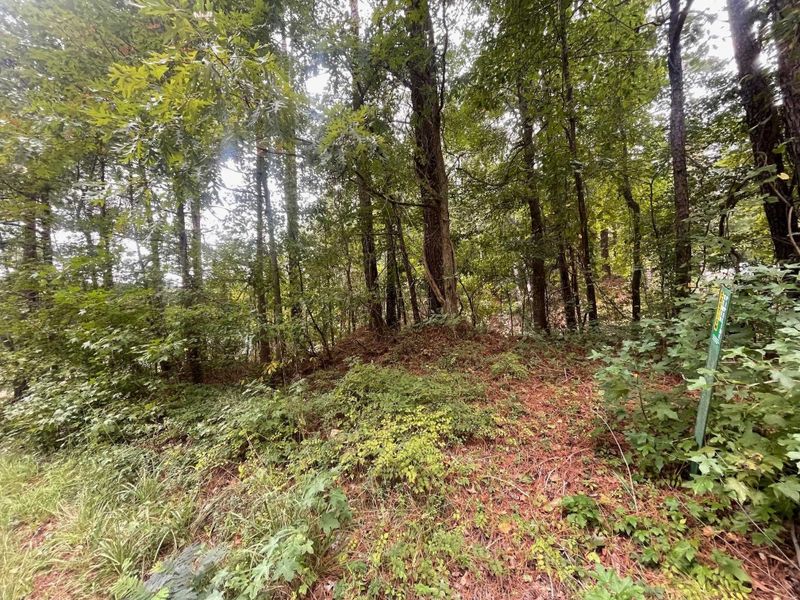 970 Mack Todd Rd, Zebulon, NC 27597