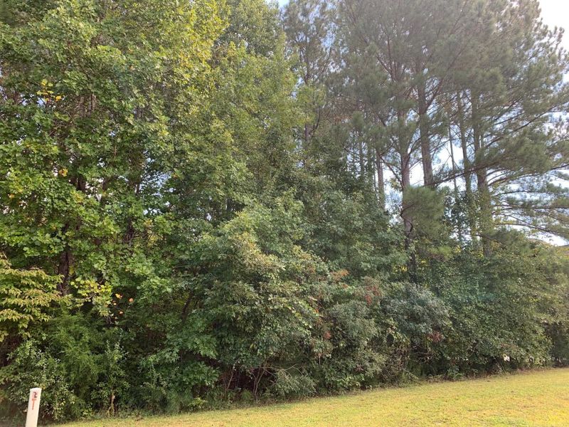 992 Cabin Creek, Pittsboro, NC 27312