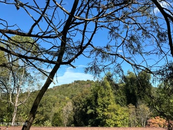 - - - - - Moore Ln, Powell, TN 37849