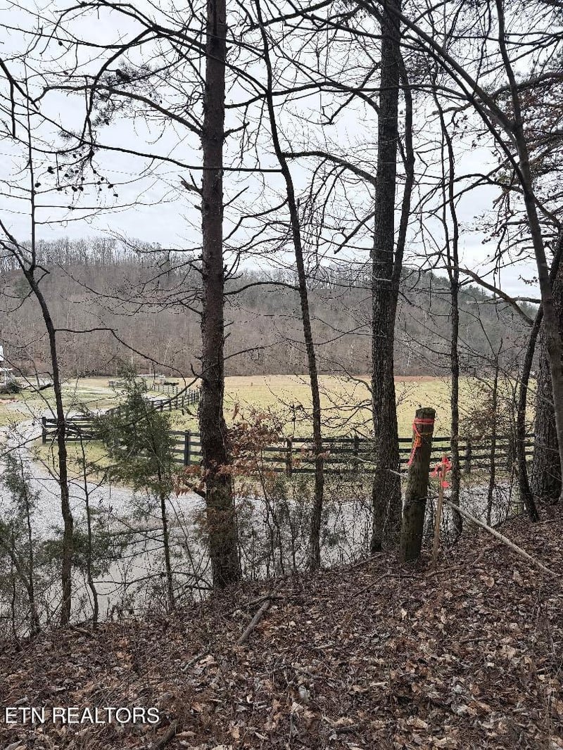 .73 acres Tarklin Valley Rd, Rockford, TN 37853