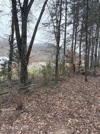 .73 acres Tarklin Valley Rd, Rockford, TN 37853