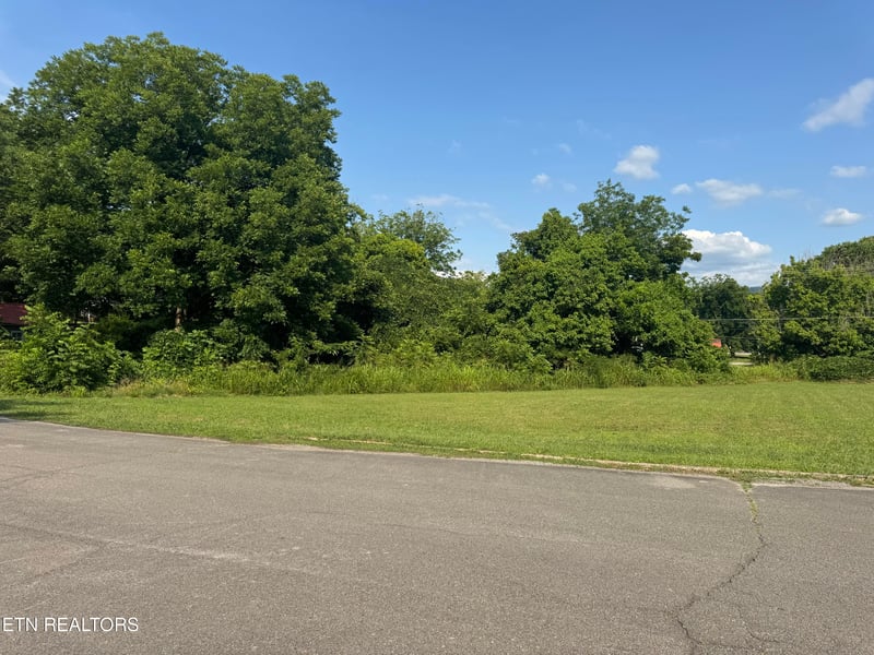 .947 ac Washington Ave, Etowah, TN 37331