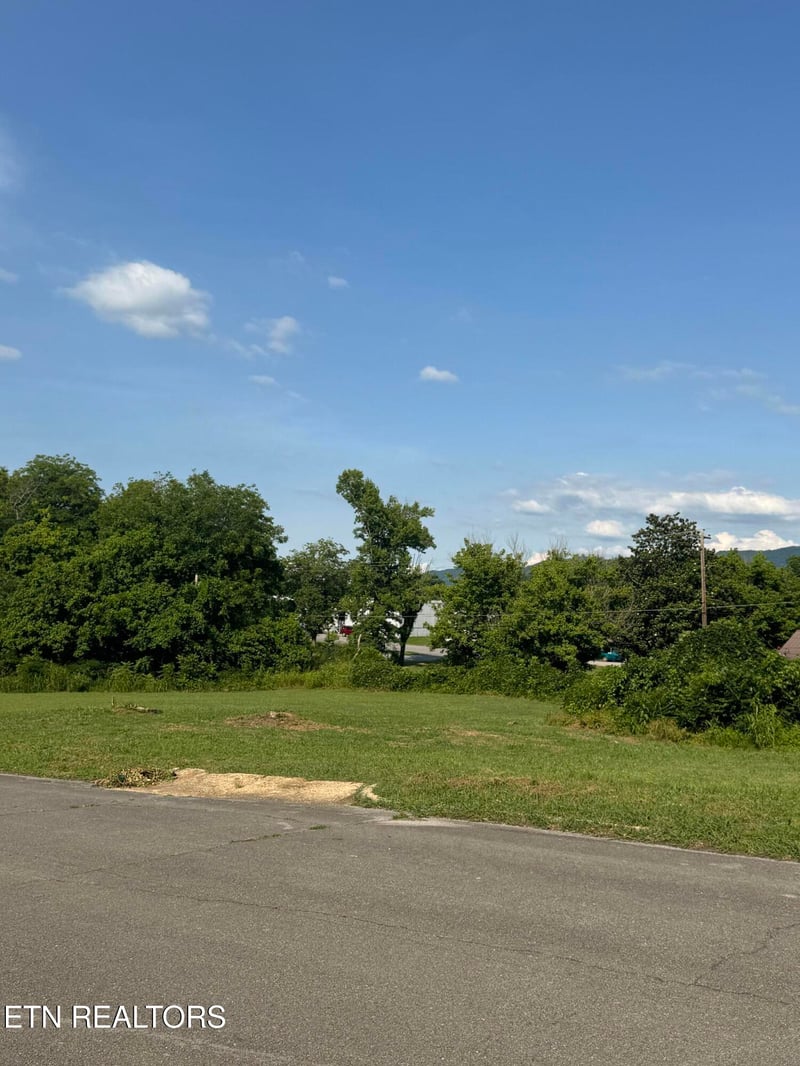.947 ac Washington Ave, Etowah, TN 37331