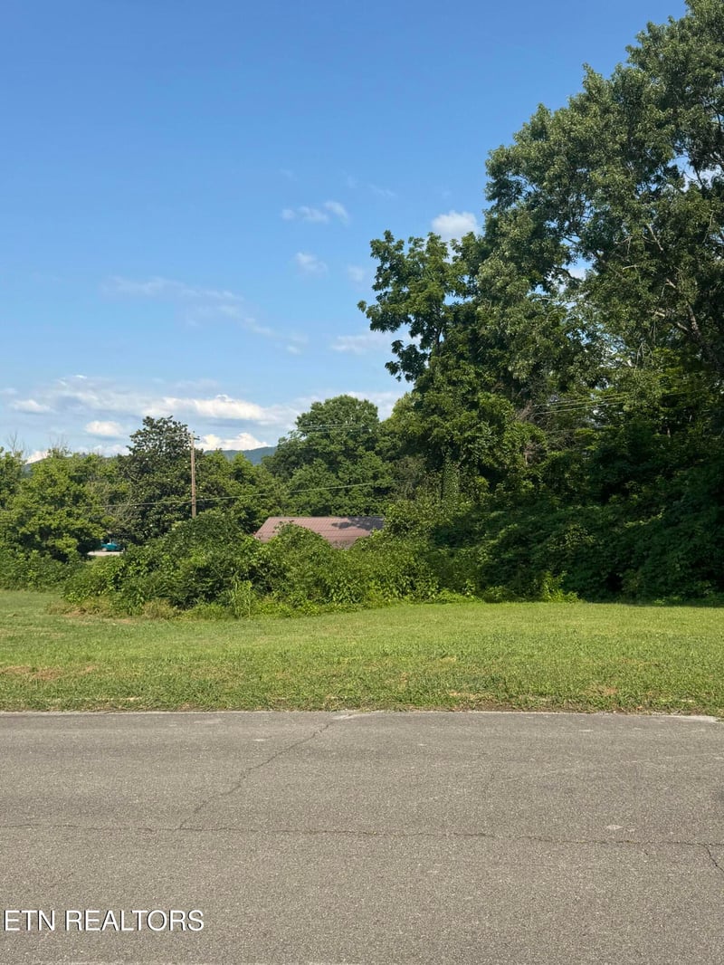 .947 ac Washington Ave, Etowah, TN 37331