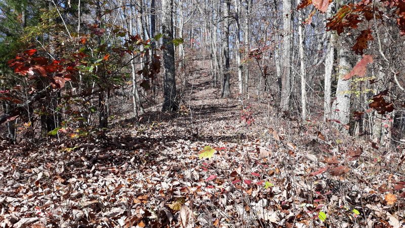 0 0 Anderson Ln, Harriman, TN 37748