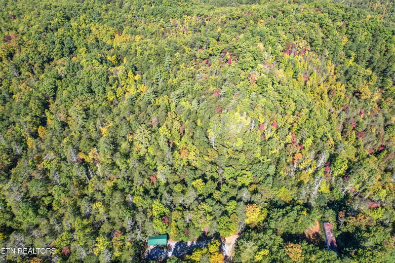 0 0 Branam Hollow Road Off, Gatlinburg, TN 37738