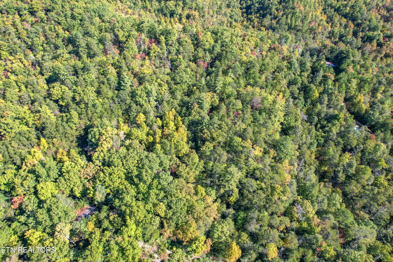 0 0 Branam Hollow Road Off, Gatlinburg, TN 37738