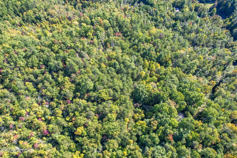 0 0 Branam Hollow Road Off, Gatlinburg, TN 37738