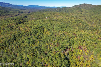0 0 Branam Hollow Road Off, Gatlinburg, TN 37738