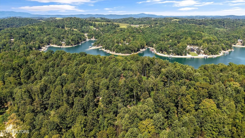 0 0 Cove Pointe Rd, Lafollette, TN 37766