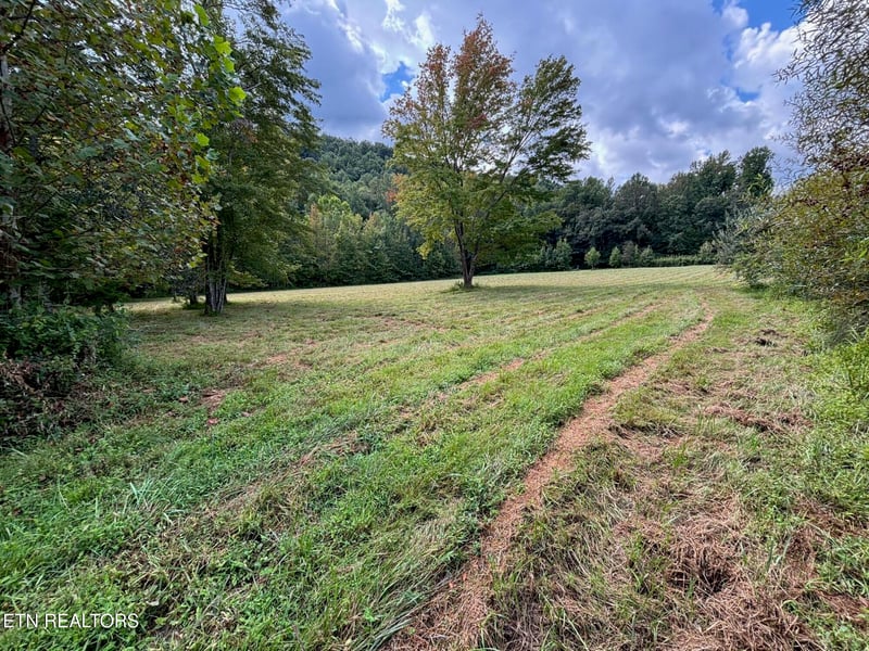 0 0 Hwy 297, Pioneer, TN 37847