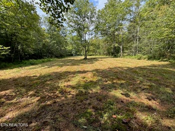 0 0 Hwy 297, Pioneer, TN 37847