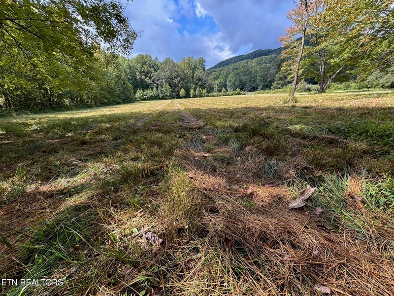 0 0 Hwy 297, Pioneer, TN 37847