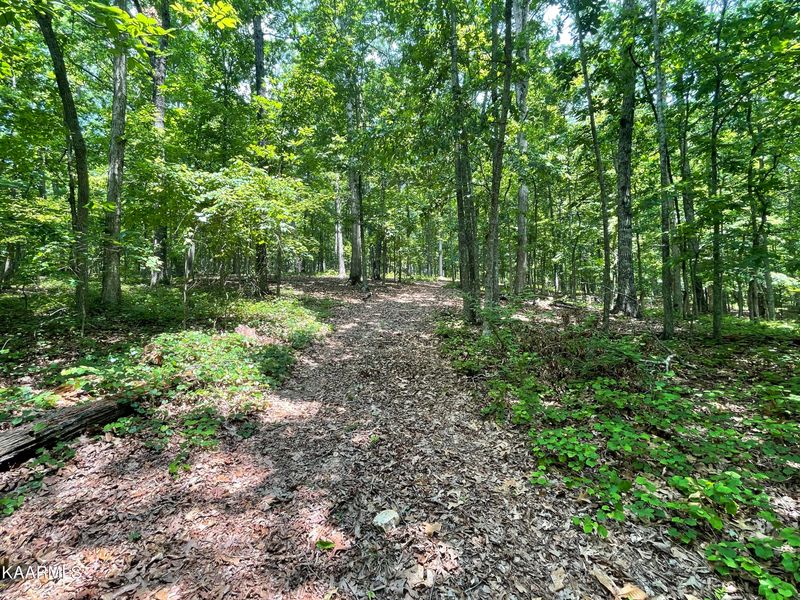0 0 Loop Rd, Rockwood, TN 37854