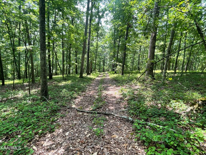 0 0 Loop Rd, Rockwood, TN 37854