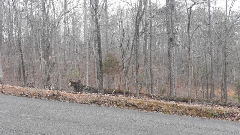0 0 Shady Dr, Harriman, TN 37748
