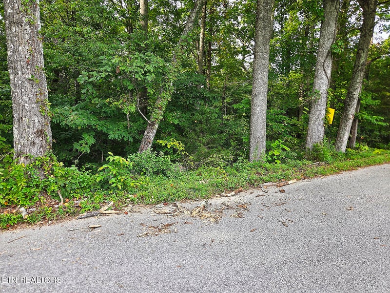 0 0 Victory Cross Rd, Lafollette, TN 37766