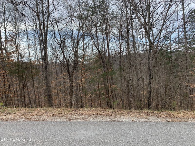 0 0 Windsor Ln, Jacksboro, TN 37757