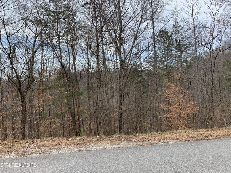 0 0 Windsor Ln, Jacksboro, TN 37757
