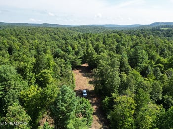 0 000 Sheep Ranch Rd, Robbins, TN 37852