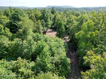 0 000 Sheep Ranch Rd, Robbins, TN 37852